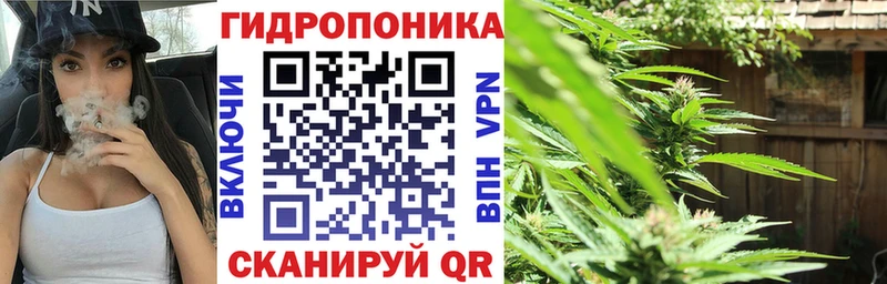 Купить закладку Кокаин  АМФ  Галлюциногенные грибы  СК  МЕФ  Мурманск