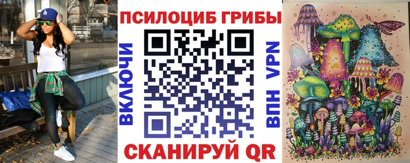 Псилоцибиновые грибы Cubensis  Купить закладки  Мурманск 